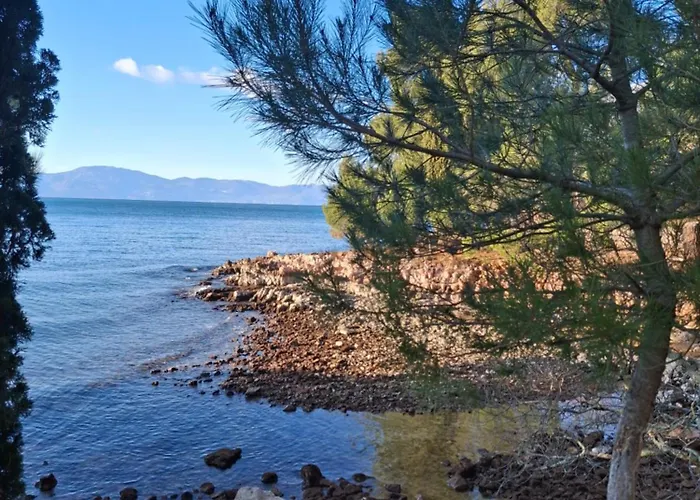 Ivona Малинска