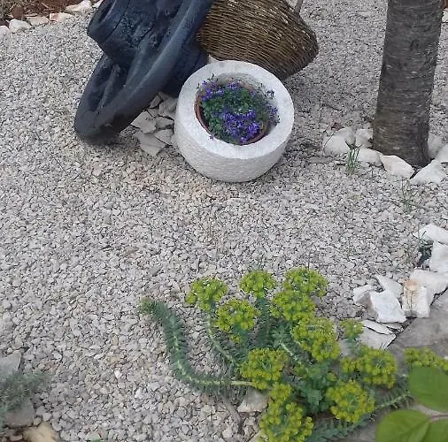 Ivona * Малинска