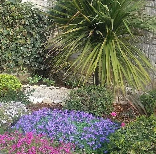 Апартаменты Ivona *